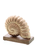 Alu line Schnecke auf Mangoholzstand +