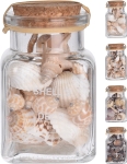 Deko Muscheln im Glas 4s.