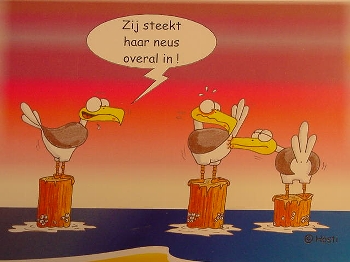 Emma-Postkarte Holland neus overal in