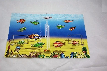 Hösti Platzset Fußball 3D ca.42,5x27,5cm