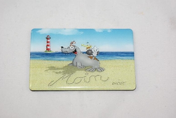 Hösti Foto Magnet ca.8x5cm Moin mit Leuchtturm