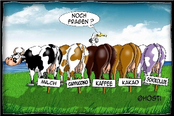Postkarte Kühe