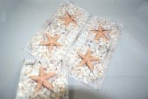 Serviette seashells on W. Woods