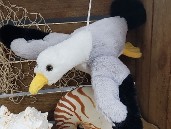 Plüschmöwe ca.28cm