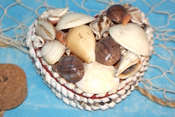 Muschelkasten Herz 13cm