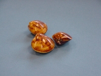 Brown cockles poliert 3cm