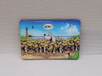 Hösti Foto Magnet ca.8x5cm Robbi Moin