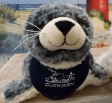 Seehund grau 30cm mit Tuch Cuxhaven