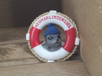 Magnet Seehund im RR Neuharlingersiel