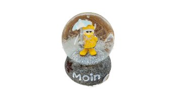 Schneekugel Regenmantelmöwe