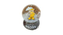Schneekugel Regenmantelmöwe