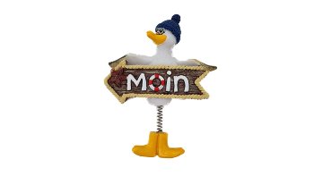 Möwe Magnet Federbein Moin +