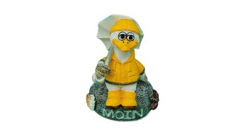 Regenmantelmöwe auf Stein Moin