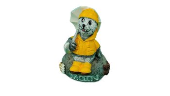 Regenmantelseehund auf Stein Moin