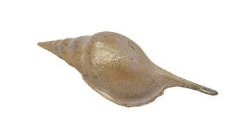 Antikgold Muschel 14x5x4 cm