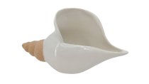 Sandoptik Muschel Keramik ca.18x7x10cm