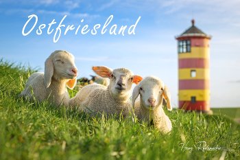 Fotomagnet Ostfriesland1