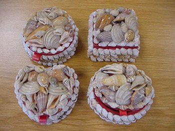 Muschelkasten 4 Formen sortiert klein ca. 7 cm