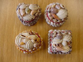 Muschelkasten bunt 5 cm, 4 Formen, 4 Farben