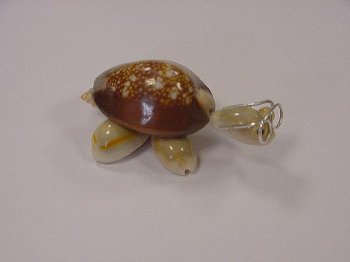 Schildkröte mini mit Brille ca. 6 cm
