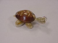 Schildkröte mini mit Brille ca. 6 cm