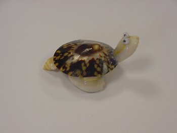 Schildkröte mini mit Brille ca. 5 cm