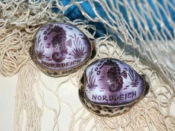 Tigermuschel geschnitzt Norddeich