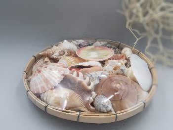 Muschelkorb Bambus 20 cm