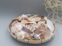 Muschelkorb Bambus 20 cm