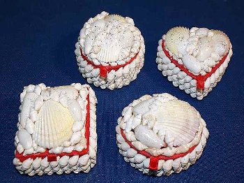 Muschelkasten weiß klein sortiert ca. 7x5x5 cm