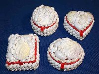 Muschelkasten weiß klein sortiert ca. 7x5x5 cm