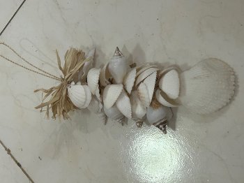 Muschelgehänge weiß 25cm