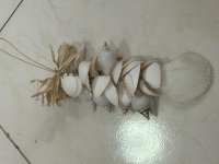 Muschelgehänge weiß 25cm